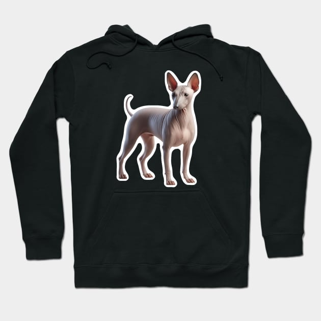 American Hairless Terrier Hoodie by millersye